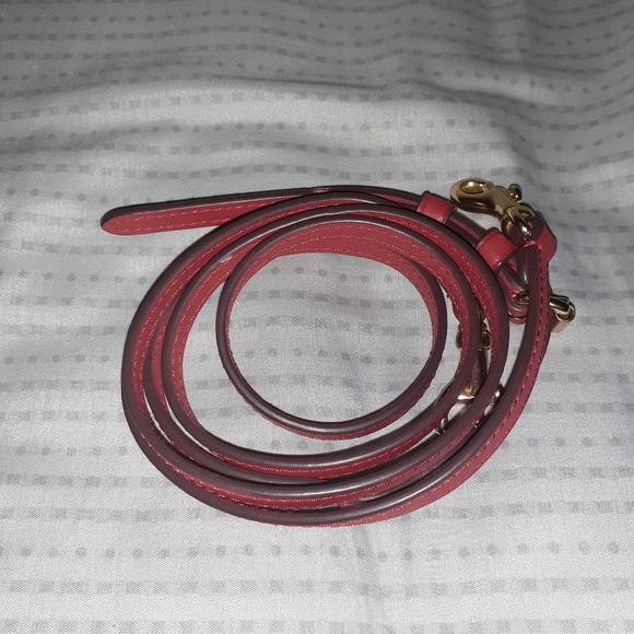 Coach | Dreamer 21 Exotic Snake Skin - Picture 10 of 12